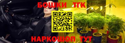 бошки Гатчина