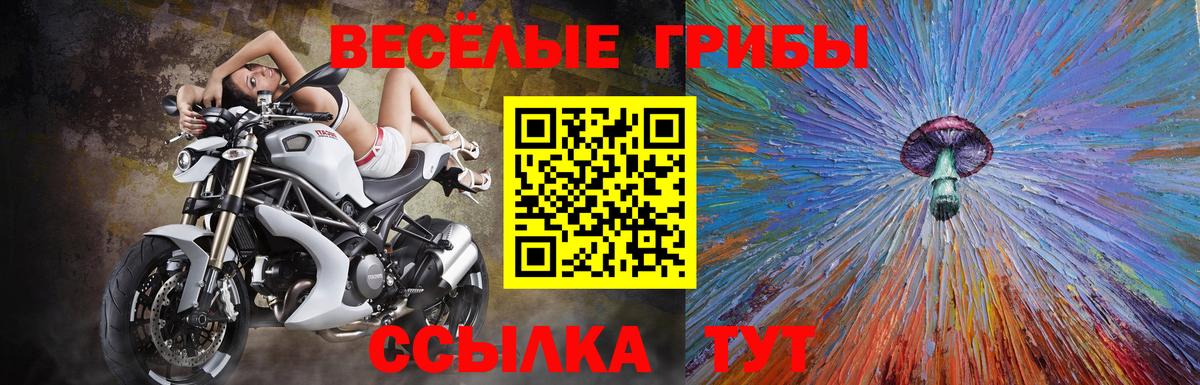 Псилоцибиновые грибы MAGIC MUSHROOMS Йошкар-Ола