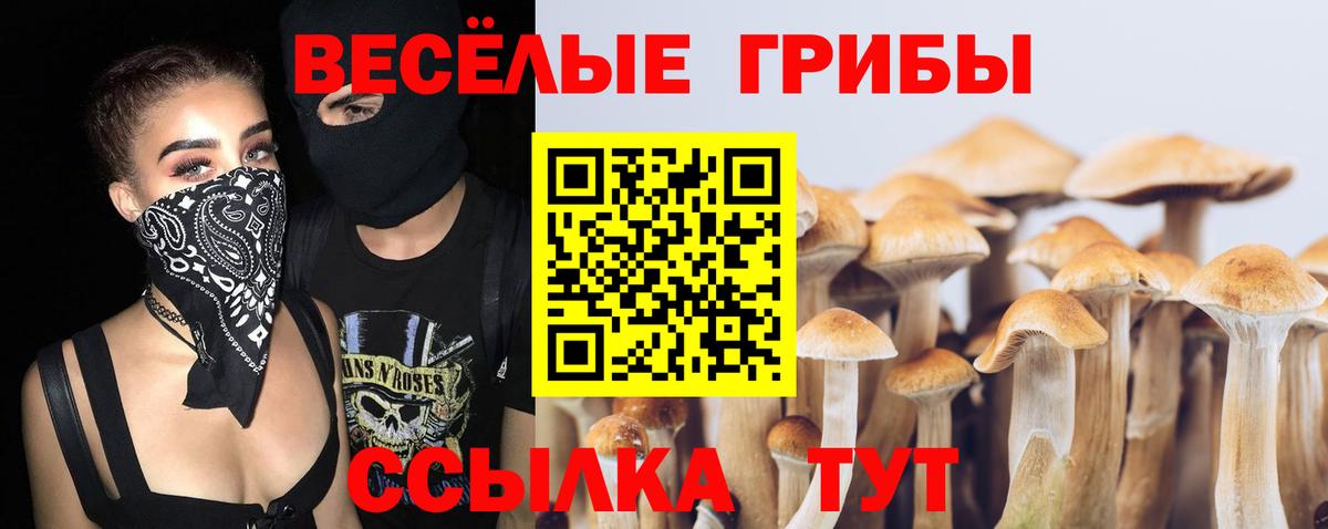 Галлюциногенные грибы MAGIC MUSHROOMS  Вход с VPN  цена наркотик  Йошкар-Ола 